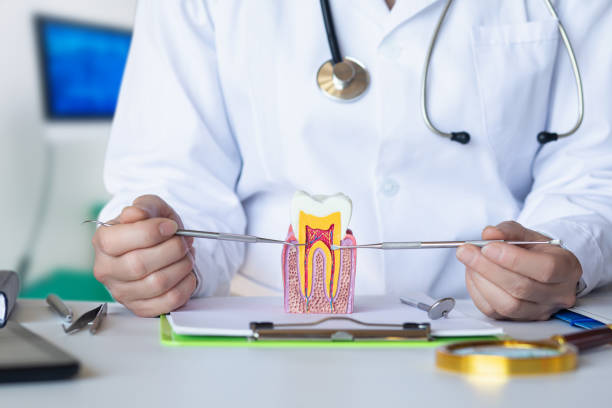 , SD Emergency Dental Service Company